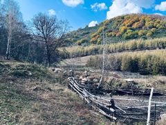 -塞罕坝国家级自然保护区