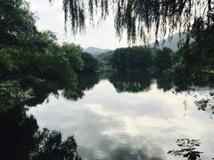 -西湖外事游船(花港观鱼码头)