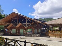 -海南槟榔谷黎苗文化旅游区