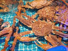 -忆江南·临江鱼馆