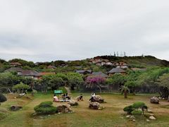 -杨梅坑