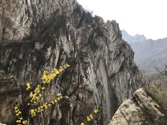 -嵩山少林文化旅游景区