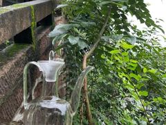 -桃源山庄·水蜜桃采摘·柴火鸡·烧烤团建(龙泉山店)