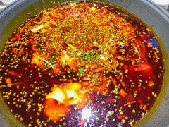 -吃城都·鱼蛙火锅(西玉龙街店)
