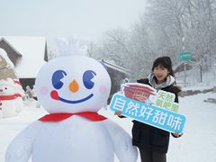 -少华山国家森林公园
