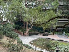 -香港大学