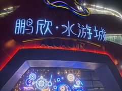 -鹏欣水游城