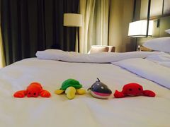 -舟山希尔顿酒店