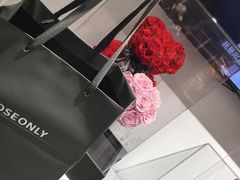 -ROSEONLY诺誓(广州K11店)