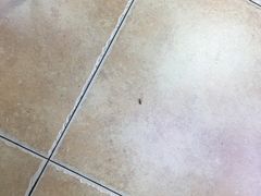 -中国兰州名牛纯汤牛肉面(永安道店)