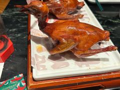 -大鸽饭(北京路店)