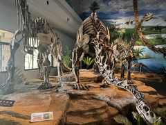 -自贡恐龙博物馆