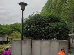 -重庆市江北嘴中央商务区中央公园