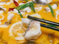 -陈生记黑鱼馆·20年活鱼现杀(宁波鼓楼店)