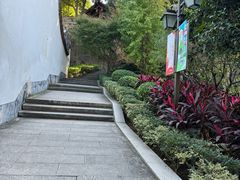-乌山风景区