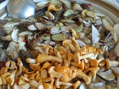 -野菌皇海景野生菌火锅(滨海大道店)