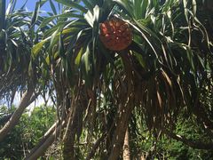 -龙坑生态保护区