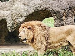 -杭州野生动物世界