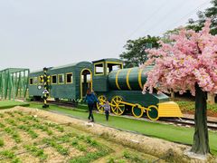 -盈香心动乐园