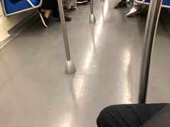 -东方体育中心(地铁站)