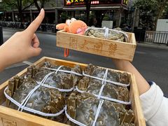 -黄记大闸蟹专卖店·活蟹·醉蟹