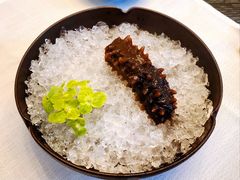 低温冷卤实心海参-民国红公馆·艺文空间(颐和路店)
