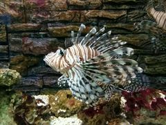 -北戴河圣蓝海洋公园