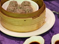 陈皮鲜牛肉丸-惠食佳·朱雀(东方商厦店)
