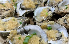 Small Fresh Oysters from Zhanjiang