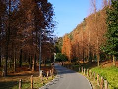 -贵阳市花溪国家城市湿地公园