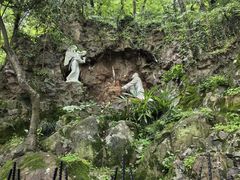 -上海佘山国家森林公园西佘山园