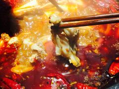 -销魂美蛙鱼头火锅(上海首店)