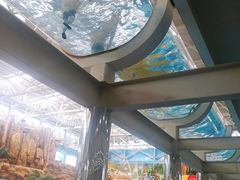 -天山海世界