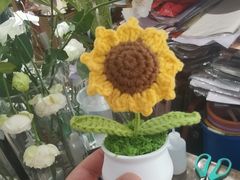 -谷莠子花艺·气球派对·绿植造景·花艺沙龙(金光华广场店)