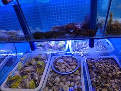 -老家黄墩小错鸡·活海鲜