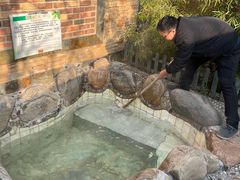 -御林汤泉