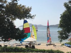 -叶记猪肚鸡(宝安椰林湾店)