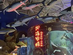 -烟台海昌鲸鲨海洋公园