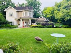 -金庭庄园酒店-停车场