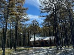 -塞罕坝国家级自然保护区