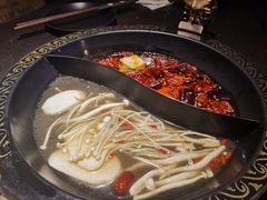 -锅说大脸毛肚重庆老火锅(佐阾店)