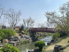 -羊山湖公园