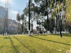 -温江公园