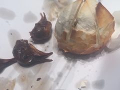 -鸽子侯·家宴·平价海鲜(绿地店)