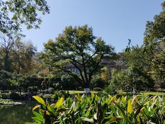 -杭州花家山庄