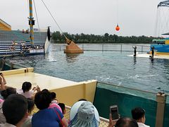 -秦皇岛乐岛海洋王国