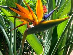 -国家植物园南园