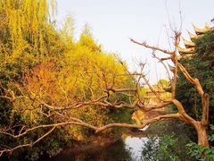 -韩湘水博园