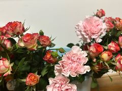 -循礼门鲜花花市(武汉循礼门店)