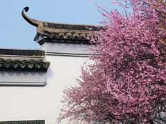 -八大山人梅湖景区